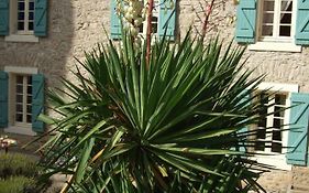 Domaine Saint Andrieu